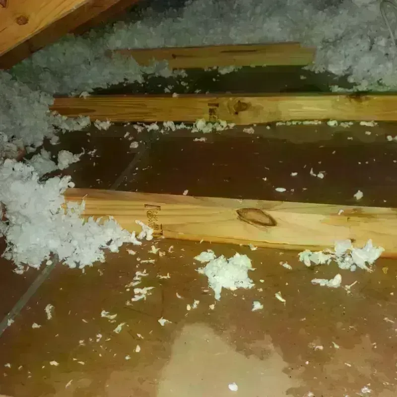 Attic Water Damage in Siren, WI