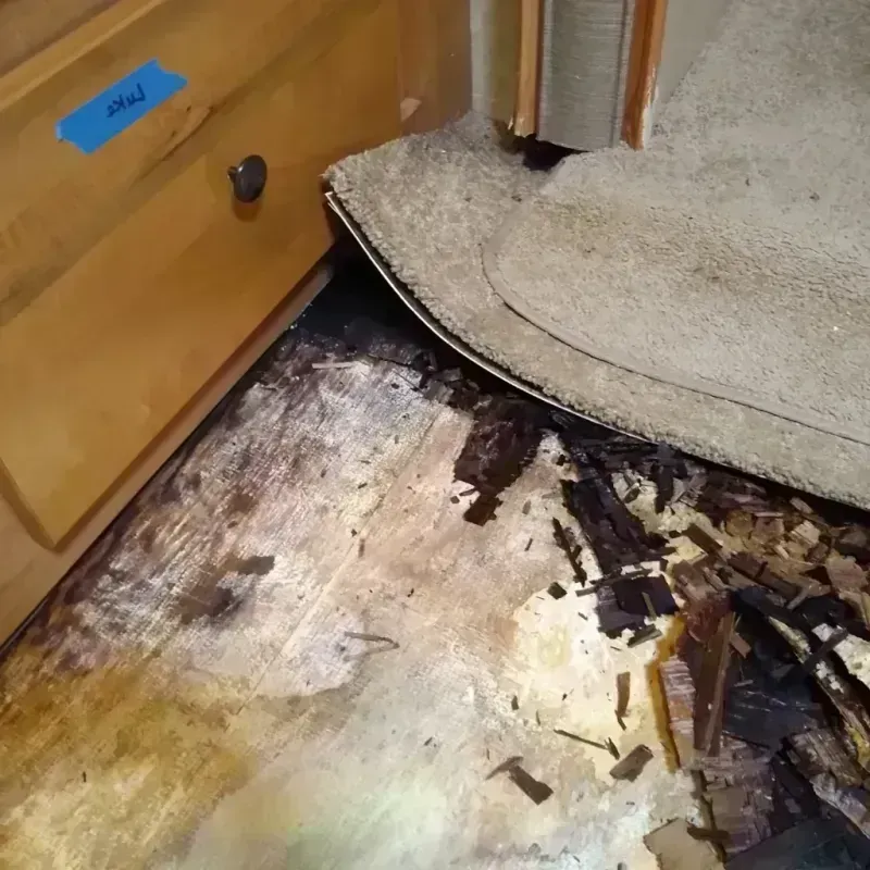 Wood Floor Water Damage in Siren, WI